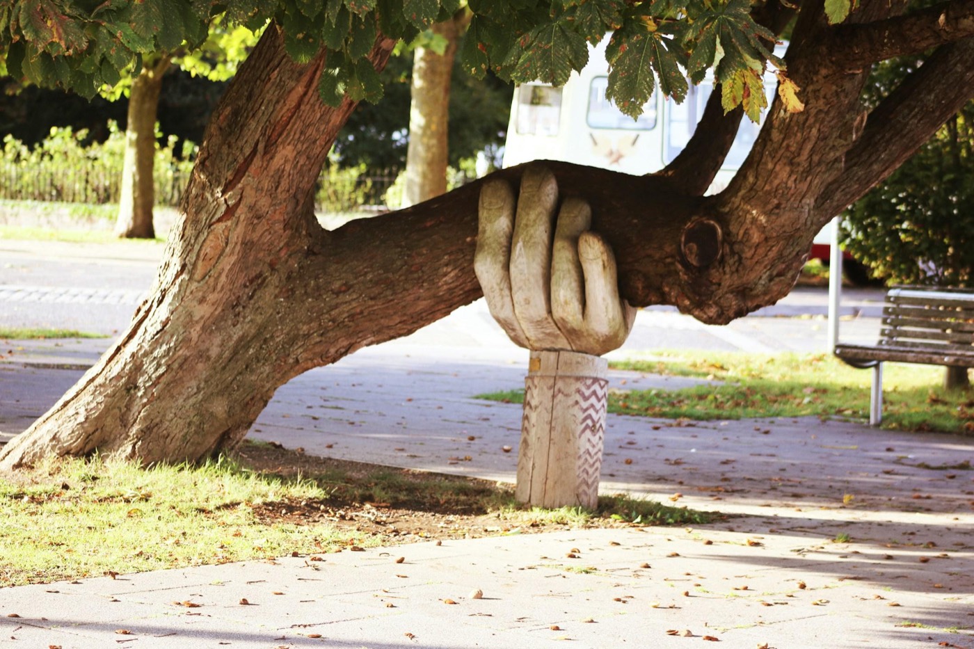 A carved wooden hand supporting the low branch of an old tree